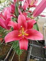 [4415 PO15 OT 6020-121 No02.JPG]